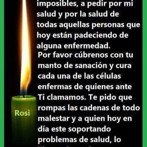 Meet your Posher, Concepción